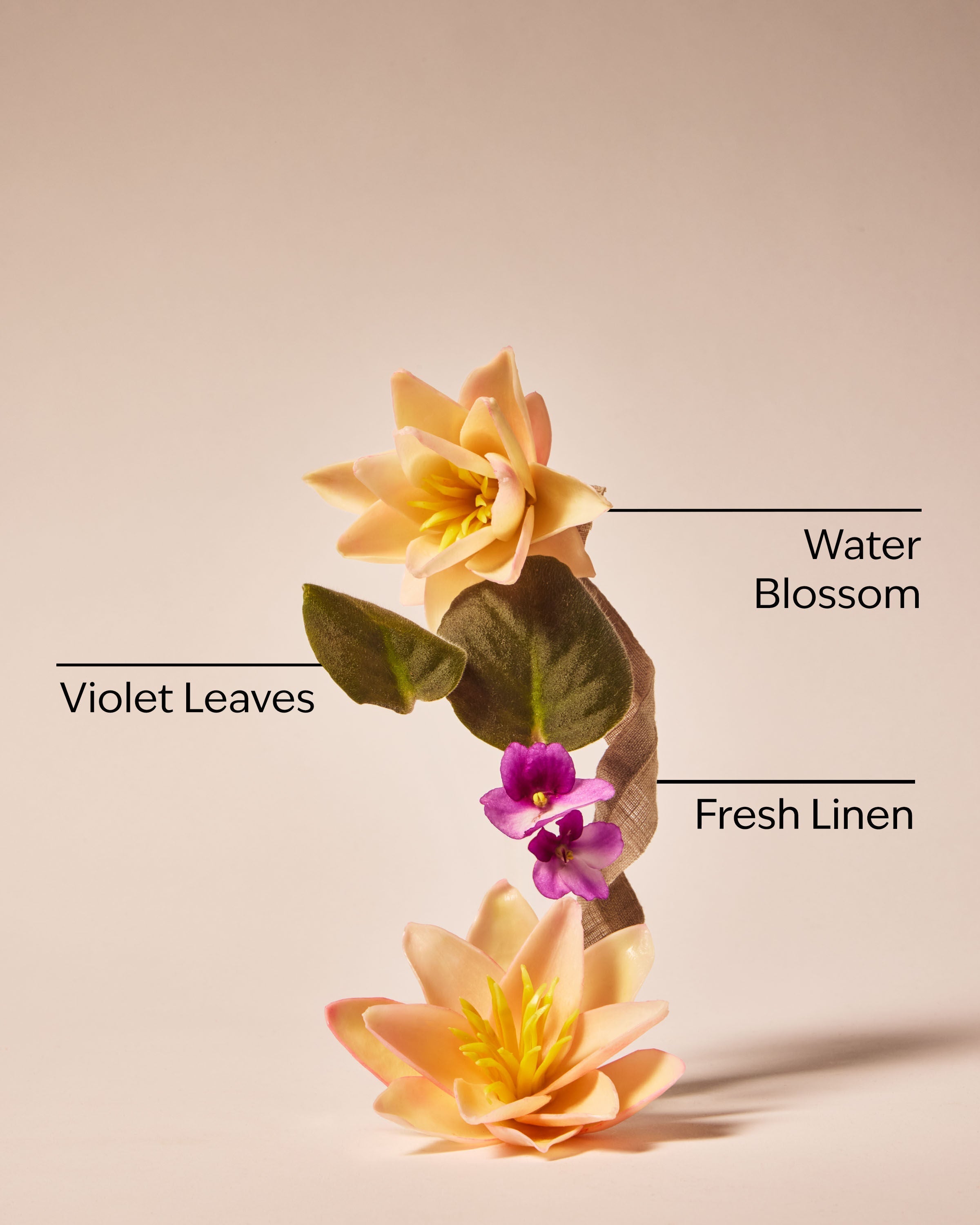 Saltwater Breeze Ultimate Hydration Body Cream