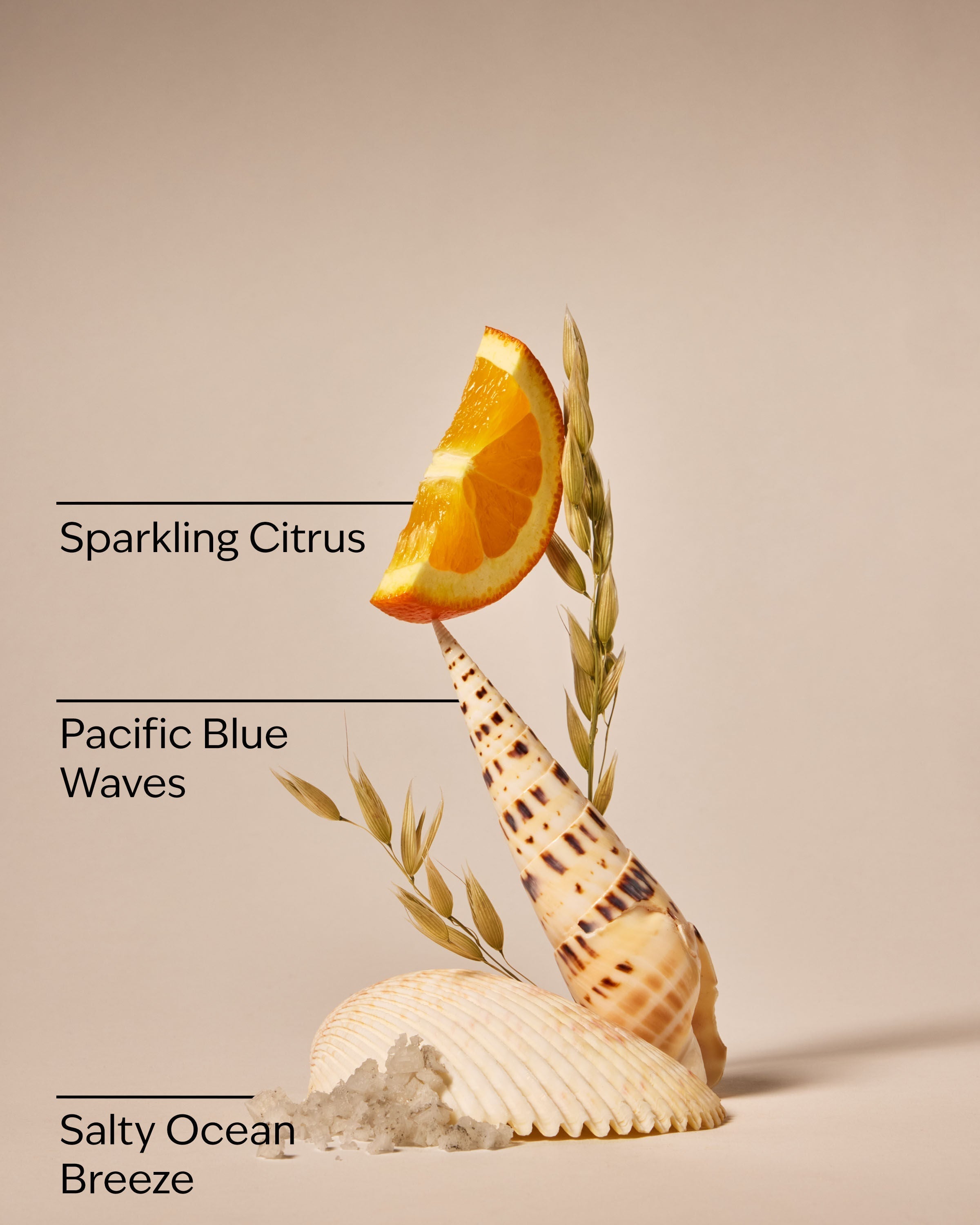 Malibu Mist Hand Sanitizer Spray