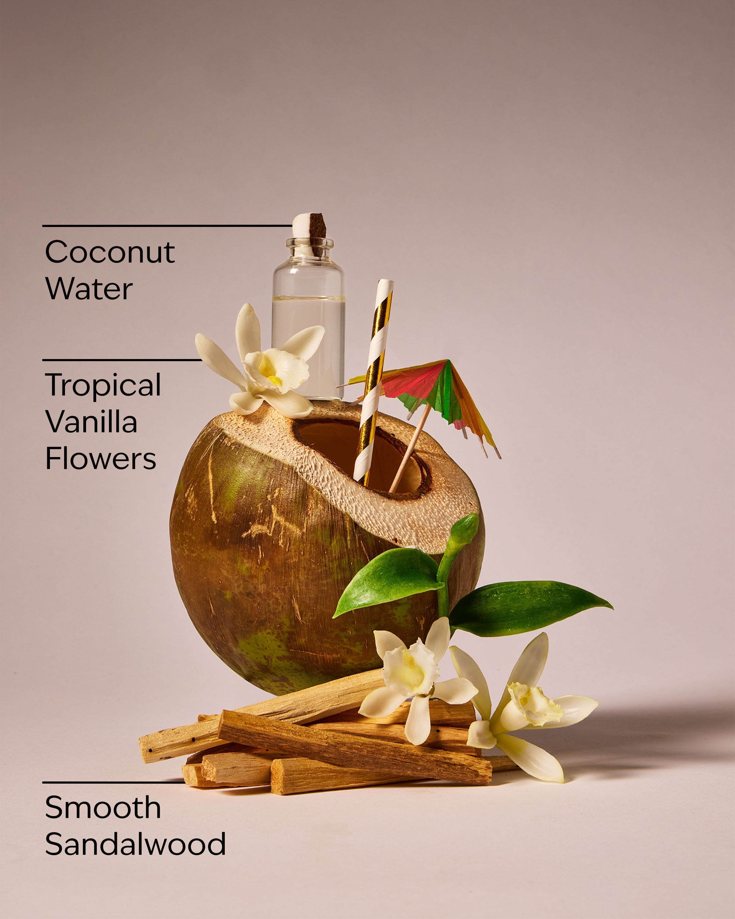 Paradise Vanilla Wallflowers Fragrance Refill