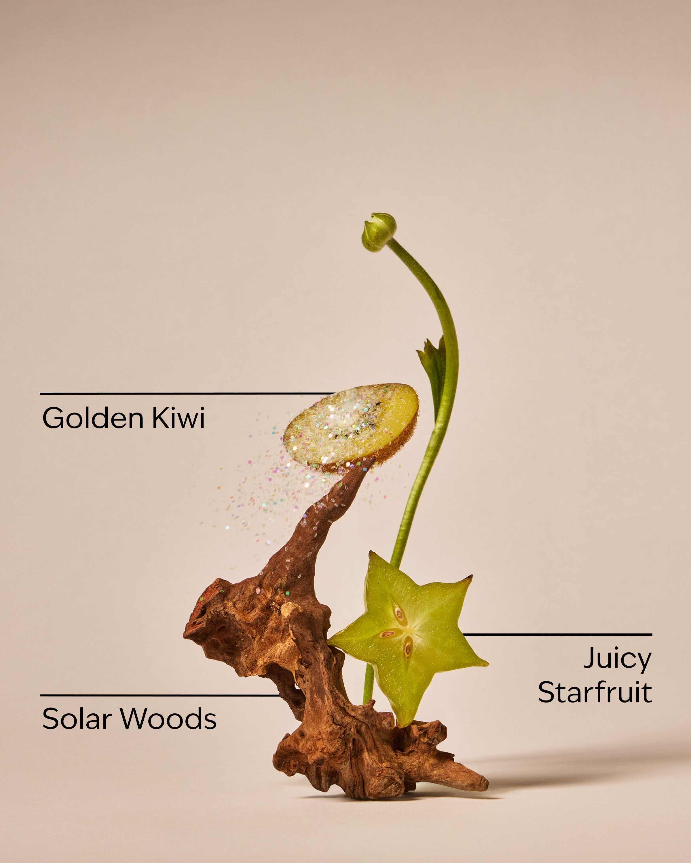 Sweet Kiwi & Starfruit Gentle & Clean Foaming Hand Soap