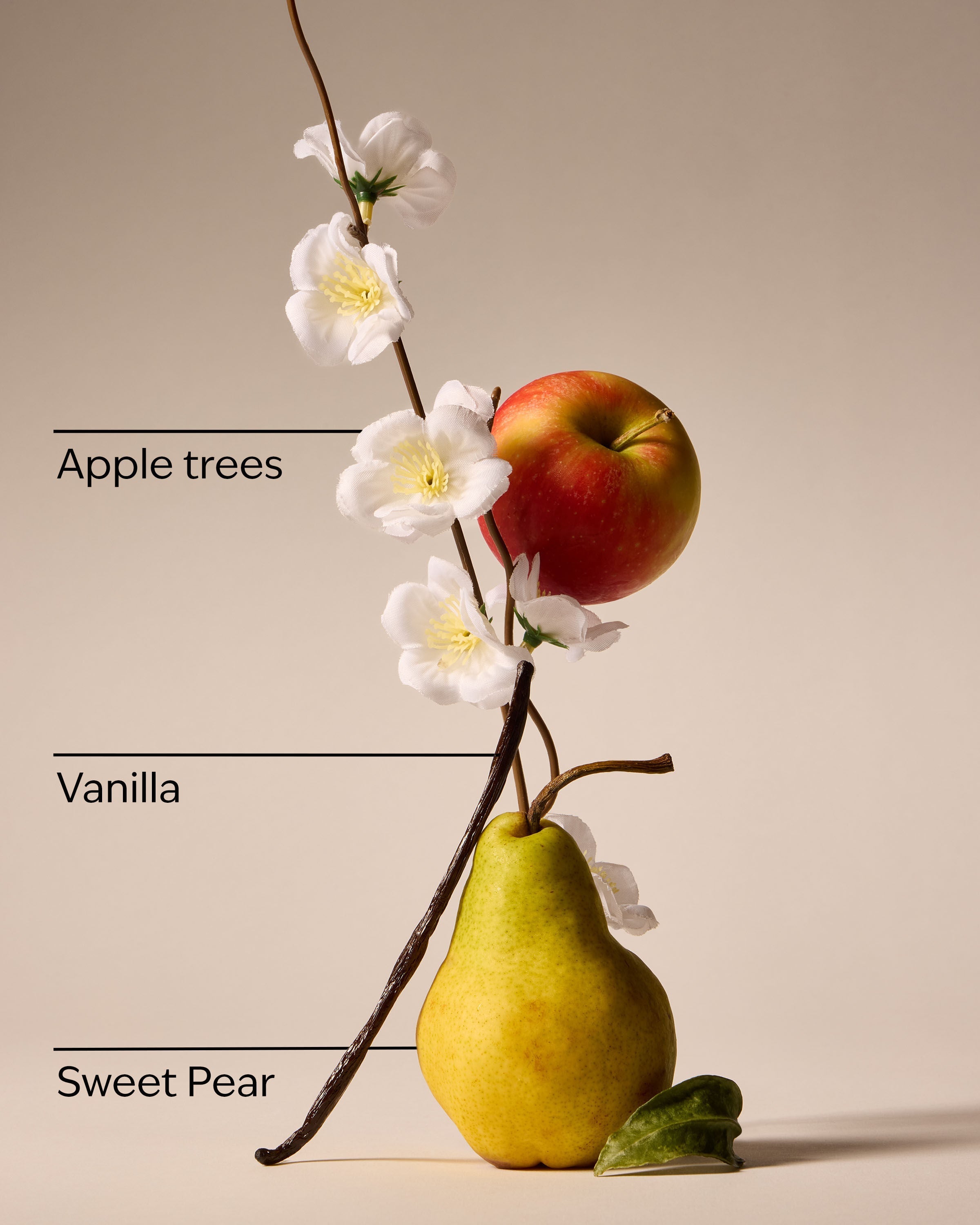 Spring Apple Wallflowers Fragrance Refill