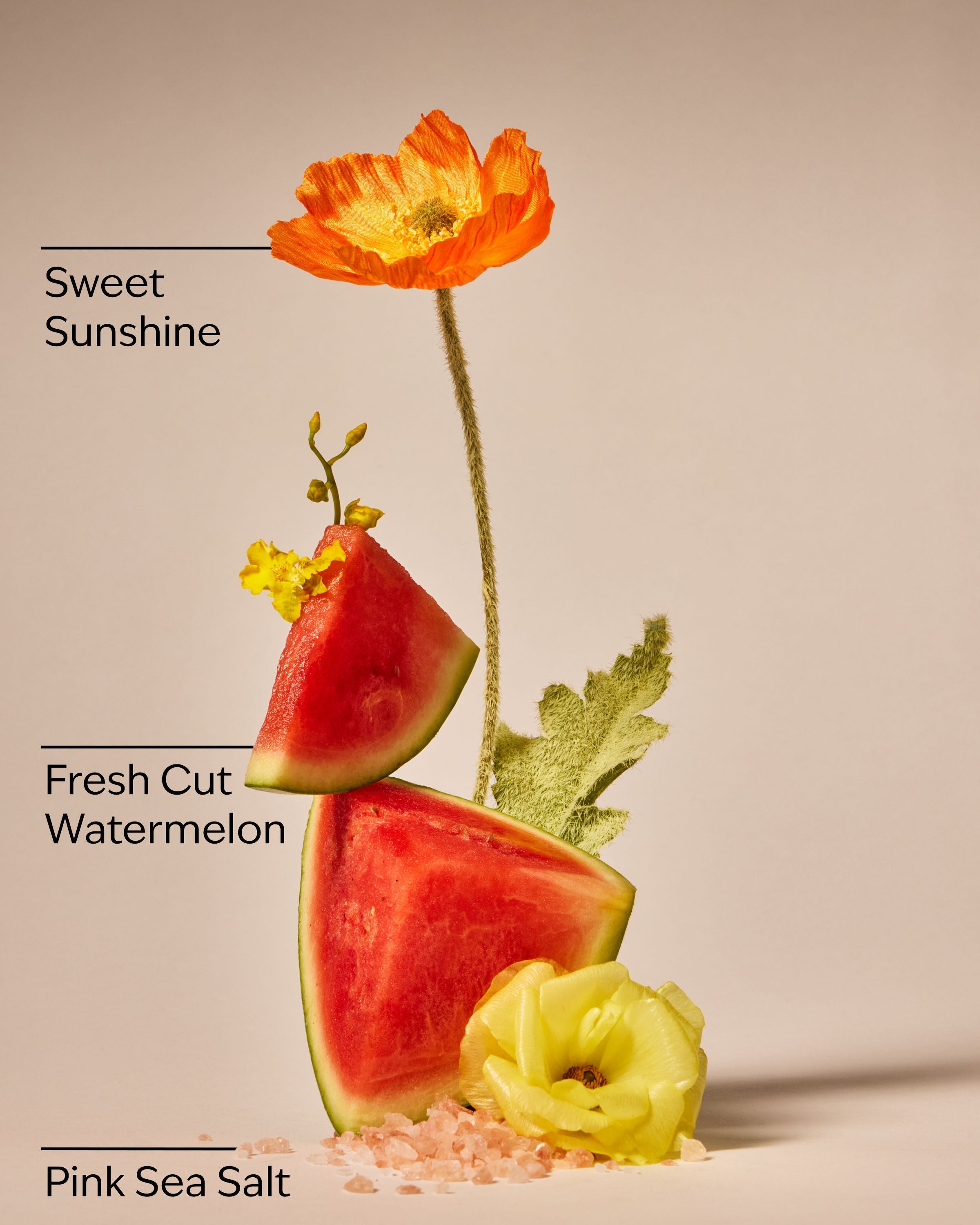 Fresh Watermelon Hand Sanitizer Spray